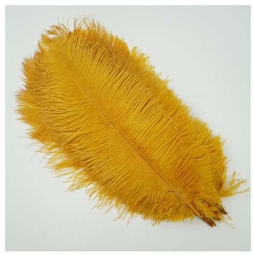 GreatRise 15-20cm Natürlich Straußenfedern Weich Strauß Federn Strauß Feder Plume Vogelfedern Bastelfedern für Hochzeit Halloween Weihnachtsdekoration Tisch Dekoration Gold 10 Stück