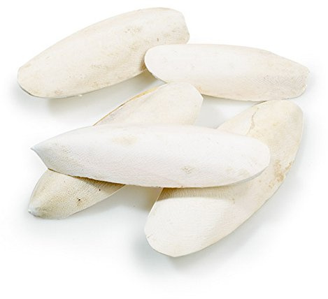 CLASSIC Cuttlebones Bulk Pack 5lb (2.27kg) Birds