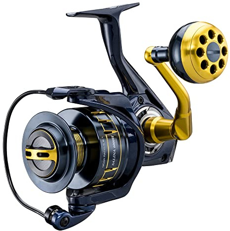 Okuma Salina 6000H Spin High-Speed - Angelrolle, Rolle zum Meeresangeln, Meeresrolle, Spinnrolle