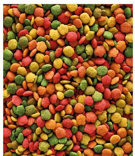 Tarta Tutta Frutta 500 g – Alimento complementare ricco di frutta, semi e cereali per tartarughe – Mix ad alta appetibilità