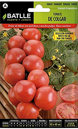 Batlle Gemüsesamen - Hängetomaten Ausw. Domingo (175 Samen)