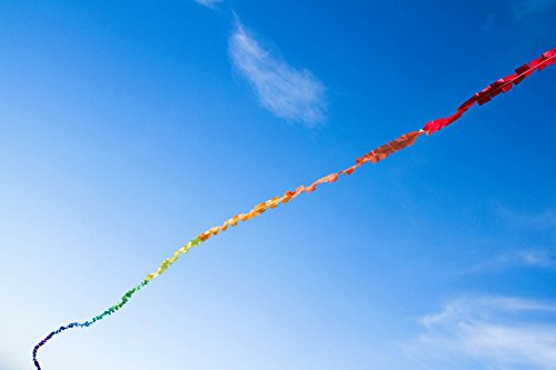 HQ Kites and Designs Fuzzy Tail 20 m Erwachsene Unisex, Mehrfarbig, 20 Monate