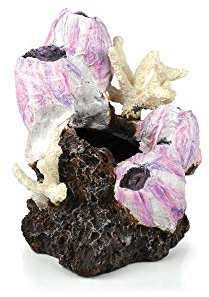 biOrb 46145 Seepflanzen Ornament S pink - stilvolle Aquariumdekoration mit Korallen und Gestein in lebensechtem 360-Grad-Design | zur Einrichtung von Süßwasser- und Meerwasseraquarien