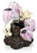 biOrb 46145 Seepflanzen Ornament S pink - stilvolle Aquariumdekoration mit Korallen und Gestein in lebensechtem 360-Grad-Design | zur Einrichtung von Süßwasser- und Meerwasseraquarien