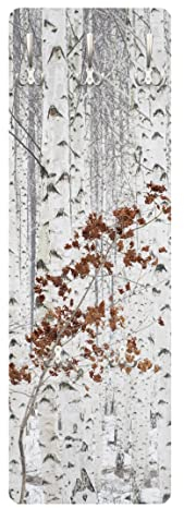 Bilderwelten Garderobe - Birken im Herbst, Größe HxB:105cm x 34cm