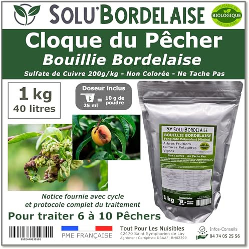 Solu'Bordelaise - Cloque du Pêcher - 1 kg de Bouillie Bordelaise Non Colorée - Fongicide Polyvalent à base de Sulfate de Cuivre 200 g/kg - Doseur Inclus - Utilisable en Agriculture Biologique