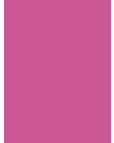 Clairefontaine 384587C - Pacco da 25 fogli di Carta Poster dipinto 90g/m² - Formato 60x80cm - decoupage, Scrittura, Collage - hobby creativo Adulti e Bambini - Colore Fuschia
