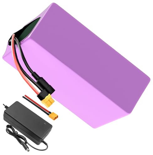 Avec chargeur 21 Ah 13S6P 48 V Batterie E-Bike E-Bike Vélo électrique Li-ion Personnalisable 245 x 125 x 70 mm