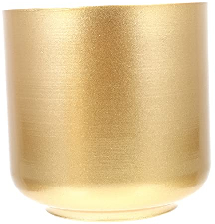 Operitacx Gold Metall Blumentopf, Garten Pflanzer, 20cm Indoor Runde Sukkulenten Container, Pflanztopf mit Drainageloch