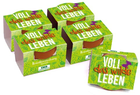 Bull & Bear 5er Set Mini Pflanzset 'Voll das Wilde Leben' Kräutermischung im Topf 4,5cm, Kräutersamen als Anzuchtset mit Pflegeanleitung