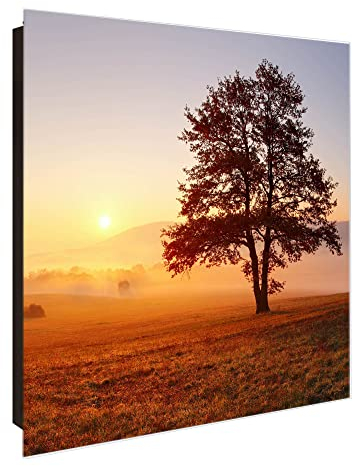 banjado® Großer Schlüsselkasten Glas/Schlüsselbox 30cm x 30cm mit 50 Haken - Motiv Sonnenaufgang/Schlüsselkasten modern für Schlüsselaufbewahrung mit beschreibbarer, magnetischer Glastür
