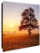 banjado® Großer Schlüsselkasten Glas/Schlüsselbox 30cm x 30cm mit 50 Haken - Motiv Sonnenaufgang/Schlüsselkasten modern für Schlüsselaufbewahrung mit beschreibbarer, magnetischer Glastür