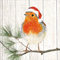 20 Servietten Vögel im Winter Birds Tiere Winter Weihnachten 33x33 cm