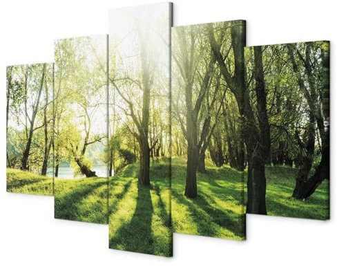 B&D XXL - Akustikbild Natur Wald 5 tlg - Bilder Akustikschaum Schallschutz Wand Deko Kunst Akustikpaneele Wandpaneele Schalldämmung Wandbild Schallabsorber Akustikplatten c-B-0030-b-n