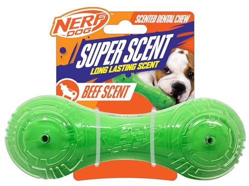 Nerf Dog Hundespielzeug, TPR/PP-Duft, Rind, super Duft, Langhantel, Solider Kern, 17,8 cm, Grün/Transparent