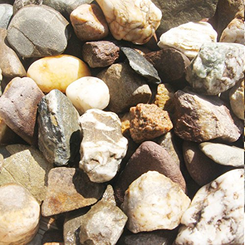 MGS SHOP Rheinkies bunt 25Kg 16/32 für Beete, Wege & Gartenteiche