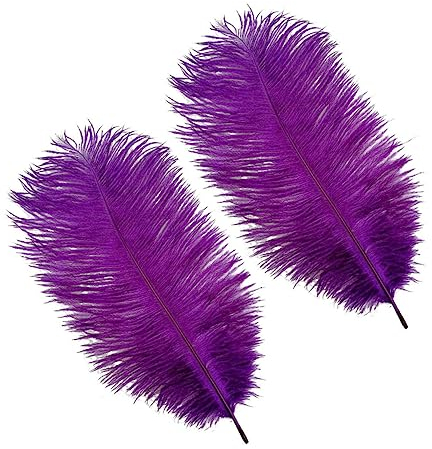 Operitacx 10st Bunte Gans Künstliche Blumen Pampas Weiße Partydeko Künstliche para Decoracion Schwarze Federn Große Federn Dekorativer Strauß Straußenfedern Masse Esstisch Violett Lampen