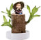 Rtyweth Mini Brasilien Glücksholz Brasilianische Holzpflanze Pflegeleicht Brasilianisches Hydrokulturholz Lucky Brazilian mit Topf und Holz Pflanzen