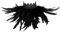Cocila Black of Friday Damen Sale Angebote Loop Schal Damen Winter Hochzeitsschal Braut Motorcycle Neck Warmer Seidenschal Damen Schwarz Kurze Haare Accessoires Angebote Des Tages Sale
