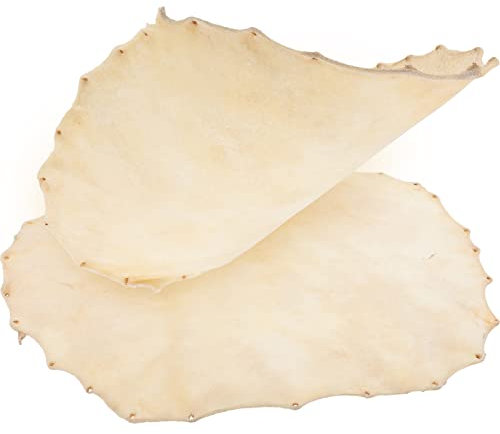 Supvox Zubehör 2 Stücke Trommel Haut Ersatz 37 Cm Afrikanische Trommel Haut Trommel Haut Deckt Leder Trommel Kopf für Afrikanische Trommel Instrument Trommel Ar- Ar- Ar- Oud-Instrument