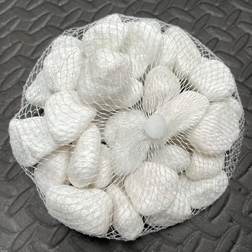 1Buy UK 1kg Assorted Coloured Natural Decorative Stones Pebbles Craft Table Decoration Pot Vase Fillers Garden Weddings Rocks Aquarium (White Large)