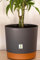 Mima Tus Plantas Macetero con Plato Incluido (25 cm x 24 cm x 21.5 cm, Gris)