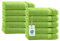 Class Home Collection Frottee Handtücher 50x100 cm – 10er Set Handtuch – Besonders weiche & saugfähige Handtücher aus 100% Baumwolle mit Aufhänger – Apfelgrün
