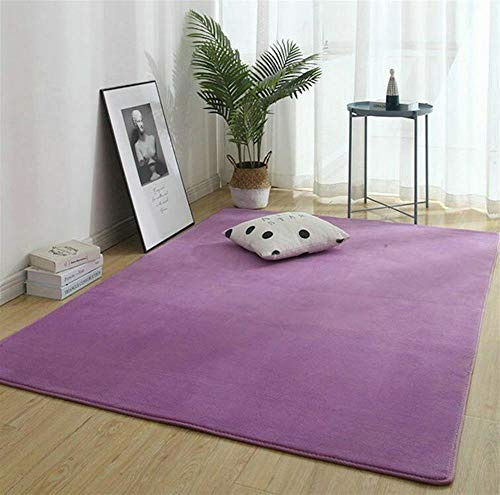 Korallenrote Samtmatte, Teppich, Als Krabbeldecke Fürs Kind, Spielmatte Baby Teppich Spielteppich Faltbarer Krabbelmatte, Yogamatte Und Übungsauflage Geeignet,Lila,80×160cm/2.6×5.2'