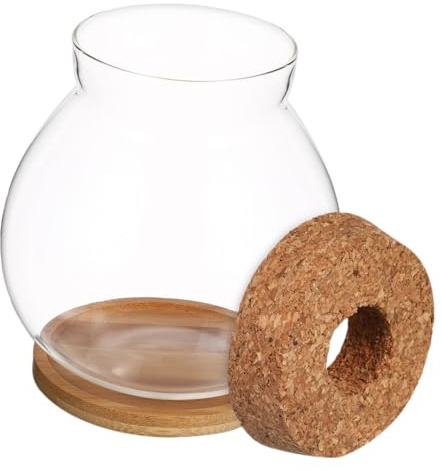 DOITOOL Kleines Glas Aquarium mit Bambusdeckel Hydroponisch Dekoration für Büro oder Zuhause