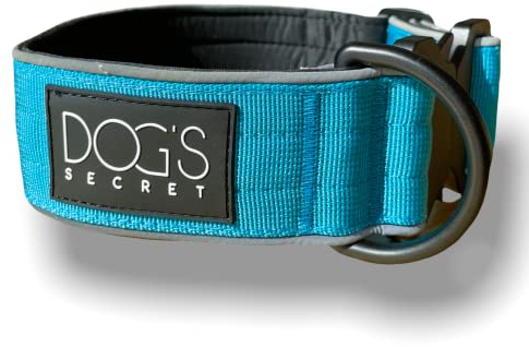 Dog’s Secret Hundehalsband ◆ für große Hunde ◆ S (30 – 45 cm) 5 cm Breit ◆ Leuchtend ◆ Blau
