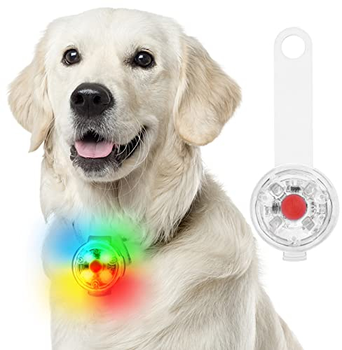 Fttouuy Sicherheits LED Blinklicht für Hunde, Katzen - USB Wiederaufladbar LED Licht Leuchtanhänger Hund, wasserdichte Sicherheit Haustier Lichter(Bunt)