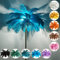 KISFWIU Floor lamp, feather lamp with 48 natural ostrich feathers10 colors, extended feathers suitable for living room, bedroom, study, H160cm (blue)