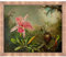 La Pastiche Cattleya Orchidee und drei Kolibri, 1871 mit Rotgold-Rahmen, 58,4 x 68,6 cm