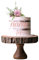 Personalised Acrylic Cake Charm Word Number Script Font A 3 4 5 6 Acrylic Cake Topper Letter Alphabet Decoration for Wedding Anniversary Birthday (5inch (125mm) 1word/name, Pastel Baby Pink)