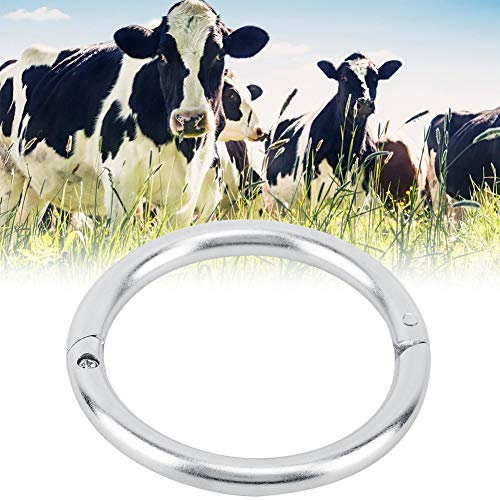 Nasenring für Kühe, Nasenring für Bullen, Rinder, Automatisch Verriegelnde Kuh-Feder-Nasenzange, Nasenring für Bullen aus Edelstahl für Landwirte und Tierärzte (M)