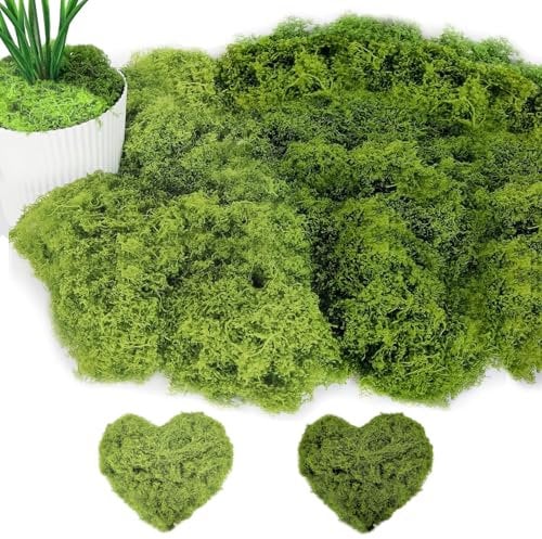 Mousse Naturelle 100g Mousse Artificielle Decoration Mousse DIslande pour Bricolage Faux Gazon Extérieur Doux et Réaliste Réutilisable,pour Compositions Florales, Travaux Manuels,Vert foncé+Vert Clair