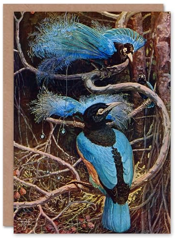 Artery8 Sir Henry Hamilton Johnston Art Card Blue Bird of Paradise
