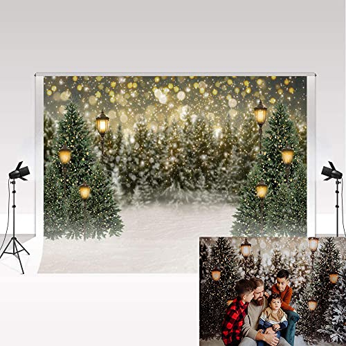 Kate Winter Hintergrund Fotografie 2.2x1.5m/7x5ft Soft & Warm Fotostudio Fotohintergrund Magazin Porträtfotografie Zubehör Hochzeitsdekoration Hintergrund Wand Dekoration für Video