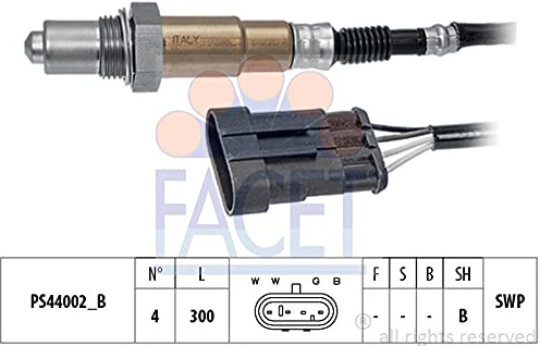 FACET 10.8203 Einspritzanlage