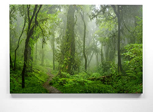 EIN Atemberaubendes Bild – Urwald im Nebel - als 150x100cm große XXL Leinwand. Tolles Wandbild als Hintergrund und Deko für Wohnzimmer & Schlafzimmer. Fertig aufgespannt auf 4cm Holz-Keilrahmen