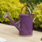 Garden Mile Arrosoir en acier pour plantes aquatiques d'extérieur et d'intérieur - Bordures de pelouse - Paniers légers à main avec arrosoir (violet, 4,5 l)