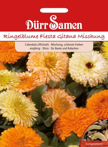 Dürr Samen 0921 Ringelblume Fiesta Gitana Mischung (Ringelblumensamen)