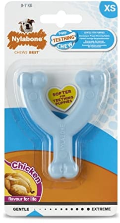 Nylabone Puppy Beißspielzeug Wishbone Puppy Blue Original Hühnergeschmack, X-Small/Petite (1 Stück)