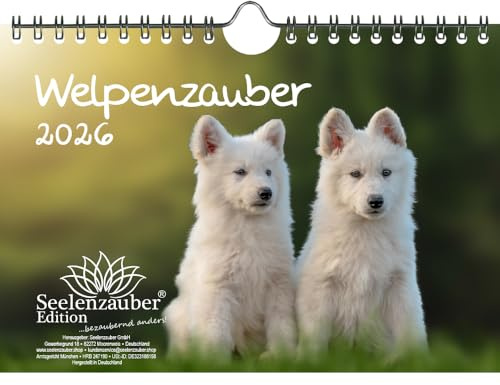 Welpenzauber DIN A5 Kalender für 2026 Hunde Welpen - Seelenzauber