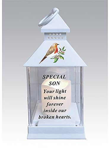 Linterna impermeable para tumba Robin Memorial con vela LED (hijo)