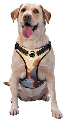 Hundegeschirr zum Schwimmen im See, ausgestattet mit reflektierenden Haustiergurten und Schnellverschluss-Schnallen, geeignet für alle Arten von Hunden