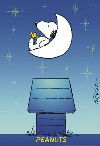 Peanuts Poster (68cm x 99cm)