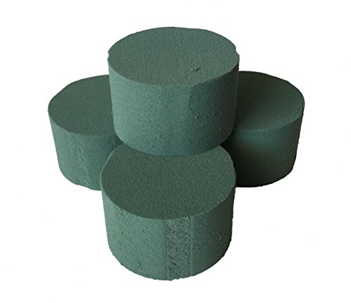 4 x MOSY Steckschaum Zylinder für Frischblumen, D 8 cm / H 5 cm - Deutsche Markenqualität