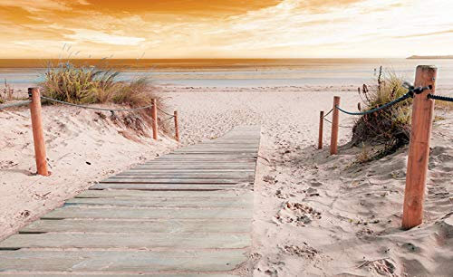 Forwall Fototapete Strand 3D Meer Ostsee Natur Sand Dünen Landschaft Wohnzimmer Schlafzimmer Vlies Tapete Wandtapete UV-Beständig Montagefertig (2020, VEXXXL (416x254 cm) 4 Bahnen)