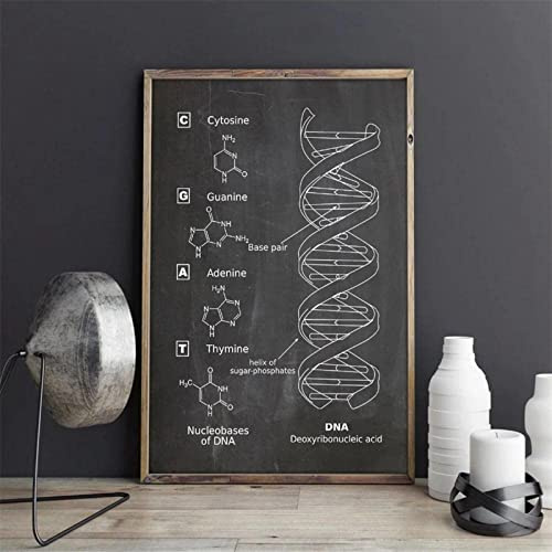 HMXQLW Schwarz Weiß DNA Modell Genetik Biologie Wandkunst Bild Labor Wand Studie Dekoration Bilder Leinwand Bilder Poster und Drucke Wandkunst Malerei Schlafzimmer Rahmenlos (40X60CM)